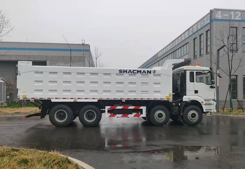 Shacman 8x4 20m3 50 toneladas de camión volquete 12 ruedas Tippers a la venta